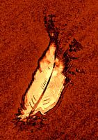 Goose feather