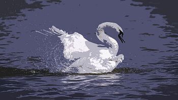 Cygne en colère
