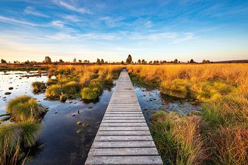 Hohes Venn in Belgium by Michael Valjak