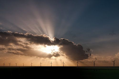 Windpark in mooi licht