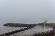 Nederlandse rivier in de mist overloopgebieden. van Brian Morgan thumbnail