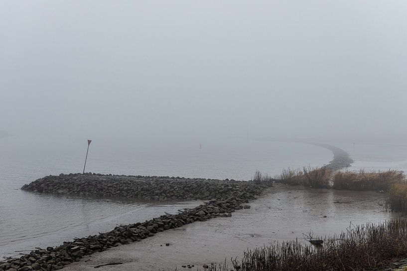 Nederlandse rivier in de mist overloopgebieden. van Brian Morgan