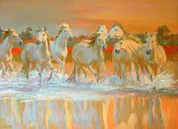 Camargue