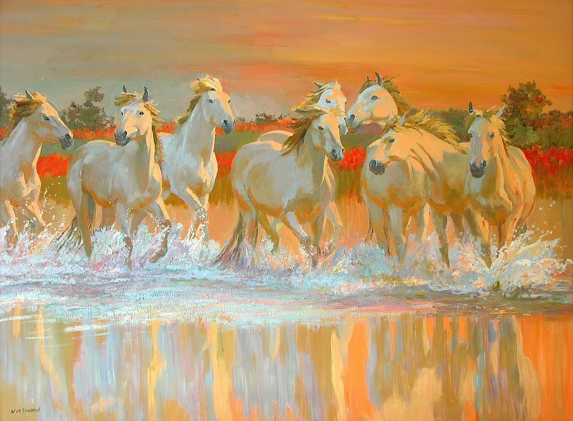 Camargue van William Ireland