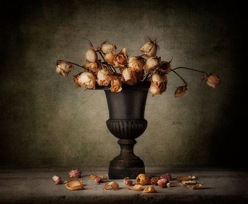 Still life 65