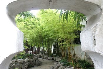 Jardin chinois