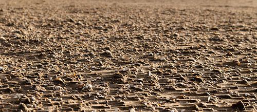 Beach with shells during a storm