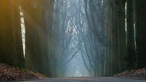 Beukenlaan, Oudemirdum van Sabrina de Vries