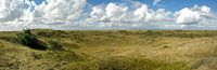 Panorama duinen Texel