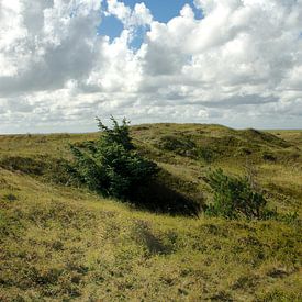 Panoramic dunes of Texel by Rene du Chatenier