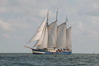3 Meister Aurora