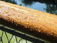 Nach Regen kommt Sonne