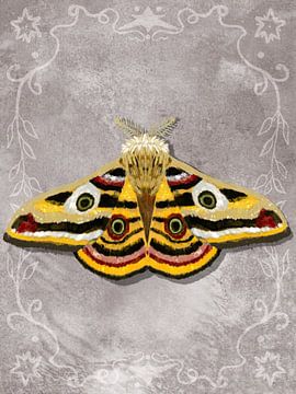 Moth 1 by Aliya Putrus