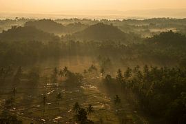 Ein nebliger Morgen an den Chocolate Hills von Sebastian Stef