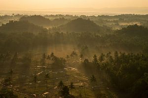 Ein nebliger Morgen an den Chocolate Hills