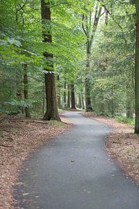 het pad naar... van Jan Heijmans