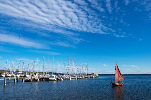 Blick auf den Hafen von Rerik am Salzhaff