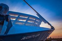 Avontuur icecold