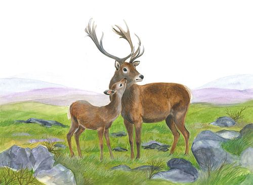 Stag and Young Hind