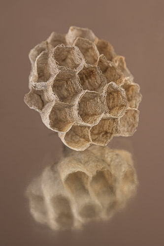 A natural, rustic composition in shades of brown – A still life with a reflection by Marjolijn van den Berg