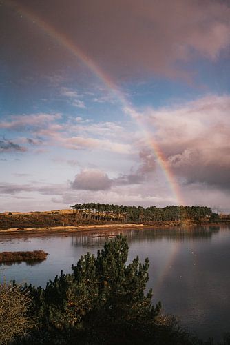 Bloemendaal bird lake