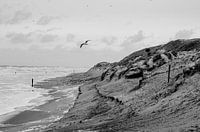 Tempête sur la plage de Texels
