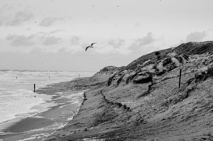 Sturm am Strand von Texels von Karen Velleman