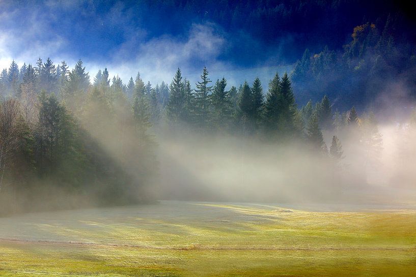 Schwarzwald im Herbst von Patrick Lohmüller