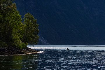 Canoeist in the fjord by Thomas Heitz