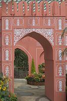 Ornate Pink Bow - Sunflower Surprise Exhibition