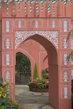 Sierlijke Roze Boog – Sunflower Surprise Tentoonstelling van Minimalistiche reisfotografie by.Rieneke