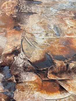 Weathered Organic Textures