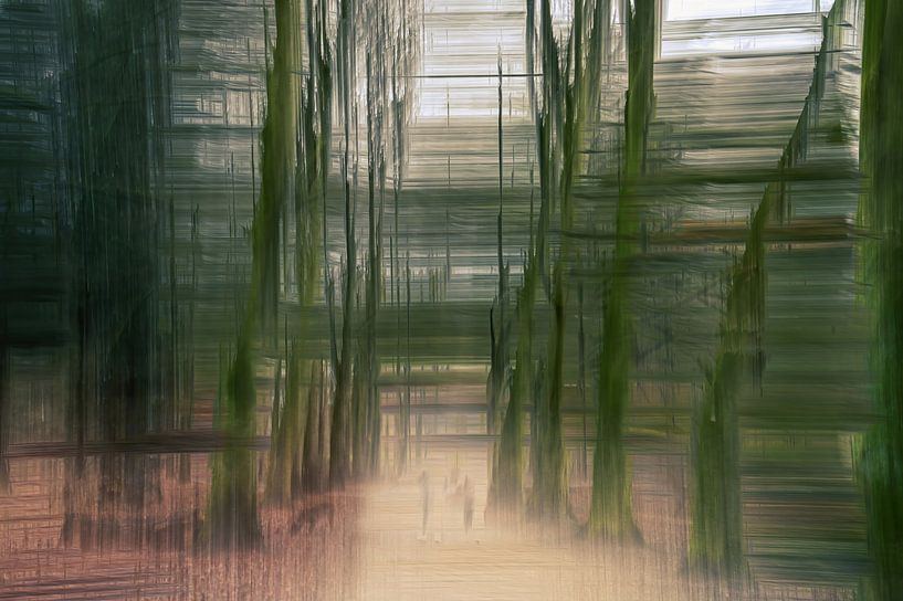 Hemmen forest part 10 by Tania Perneel