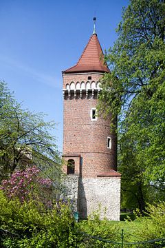 Medival Town wall with Tower in Planty Park, Stare Miasto old town, Krakow, Lesser Poland, Poland, E