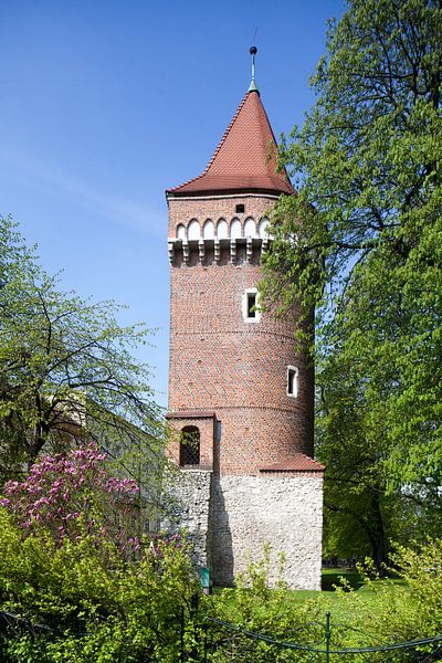 Medival Town wall with Tower in Planty Park, Stare Miasto old town, Krakow, Lesser Poland, Poland, E von Torsten Krüger