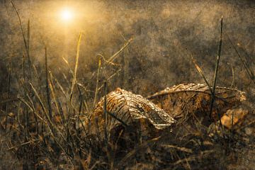 Abstract flower photo