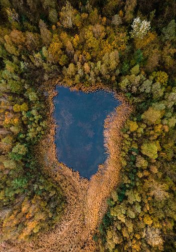 Verborgen blauw meer in het bos | Drone foto van Justin T