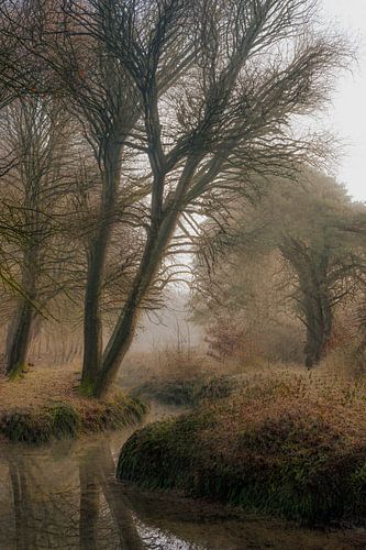 Wolfhezerheide, part 172