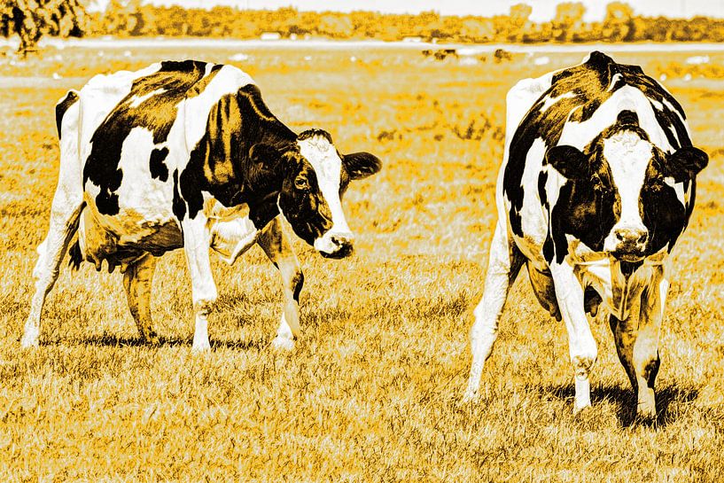 Black and white cows in the meadow Gold by Hendrik-Jan Kornelis