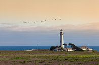 Pigeon Point Lighthouse van Jan Schuler thumbnail