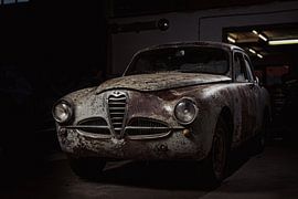 Alfa 1900 von Tycho Müller