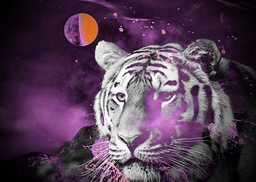 Tigre de l'univers violet - art numérique