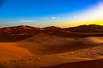 The Sahara von Natuur aan de muur