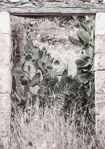 Woestijn deuropening scène