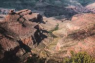 Grand Canyon van Annette van Dijk-Leek thumbnail