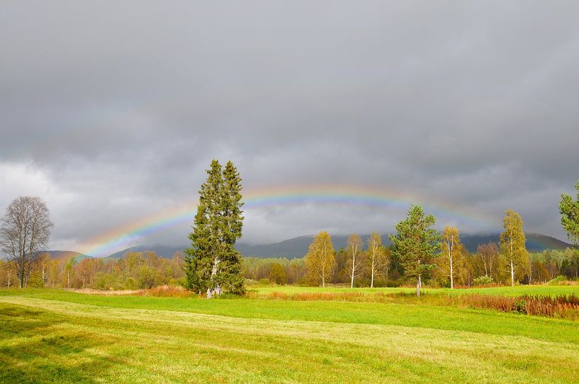 Regenboog in de herfst van Karin Jähne