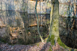 Spiegelung im Steinbruch 5