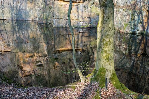 Reflection in the quarry 5