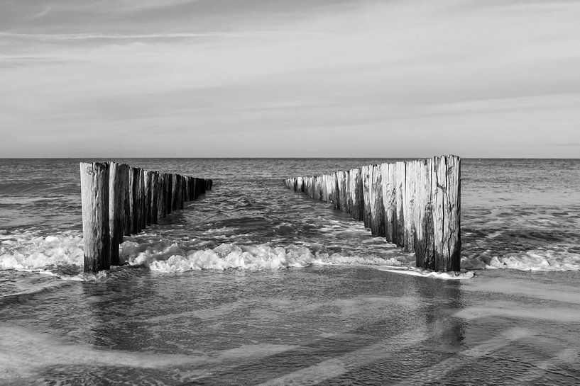 Entre les deux - Entre les deux   par José Verstegen