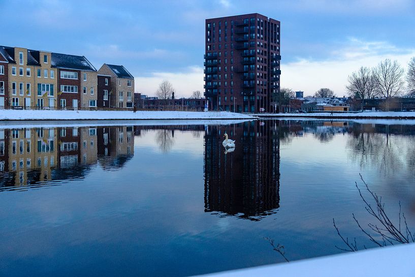 Piushaven area in winter seen from Moerenburg nature reserve by Freddie de Roeck